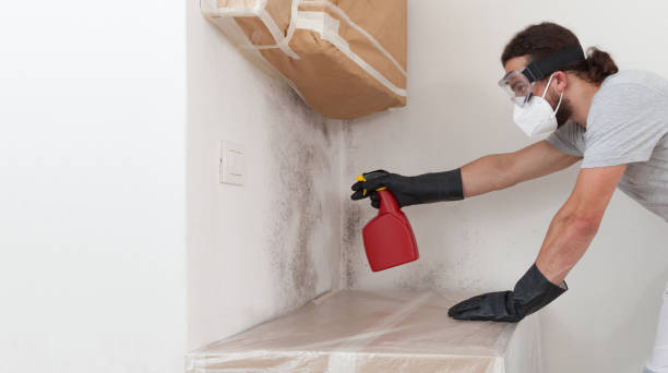 Professional Mold Removal technician working in East Jordan, MI